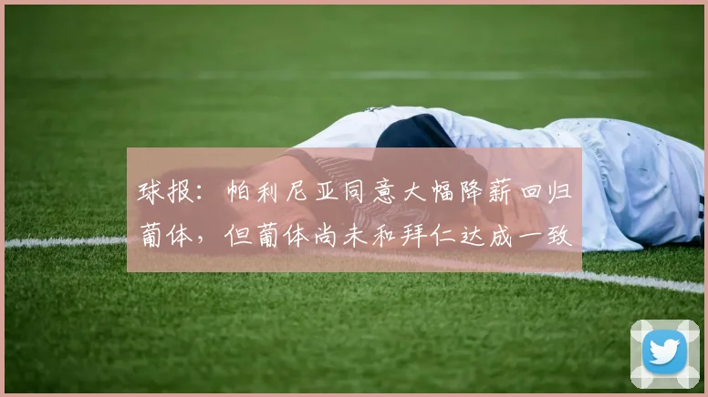 球报:帕利尼亚同意大幅降薪回归葡体,但葡体尚未和拜仁达成一致